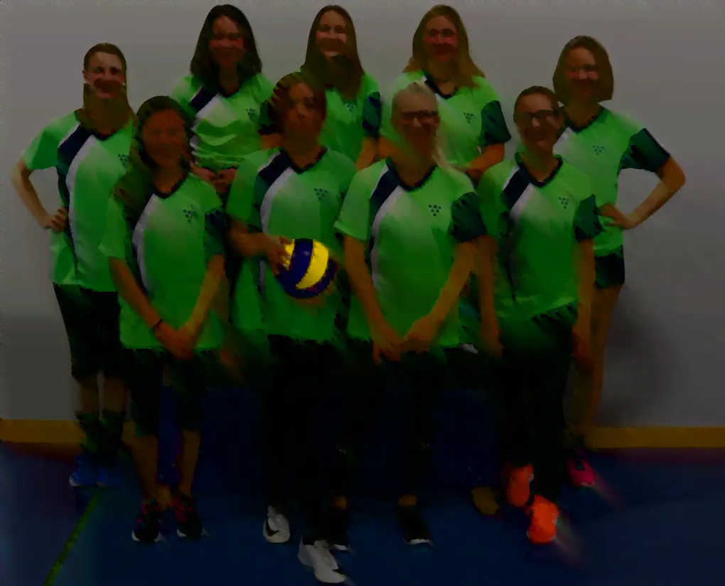 Die Netzball-Mannschaft in grünen Trikots