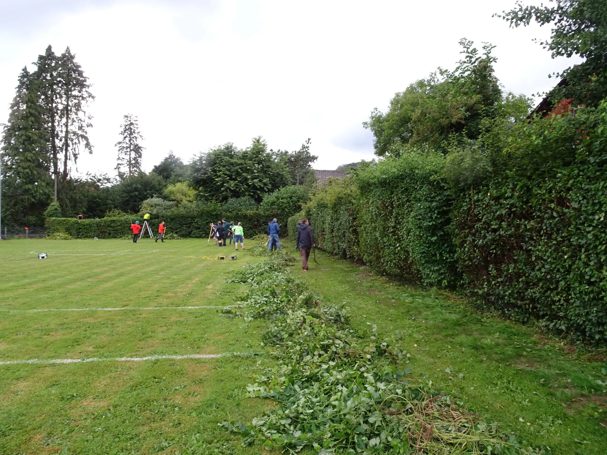 Helfer beim Heckenschneiden neben dem Spielfeld